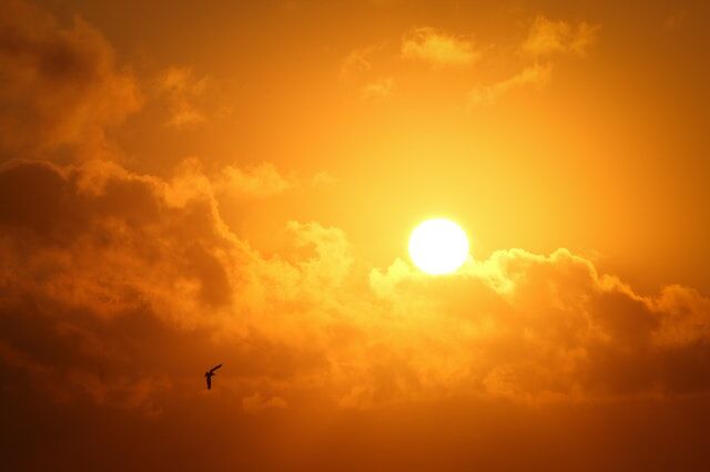 Helpful Tips for Using Your AC Sparingly This Summer
